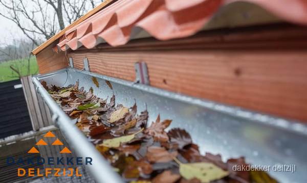 Dakgoot vol bladeren die gereinigd moet worden in Delfzijl Dakgoot vol bladeren die gereinigd moet worden in Delfzijl