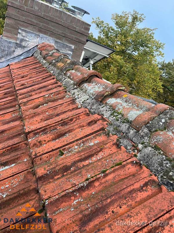 Verweerd hellend dak met mosgroei op nokvorst in Delfzijl Verweerd hellend dak met mosgroei op nokvorst in Delfzijl