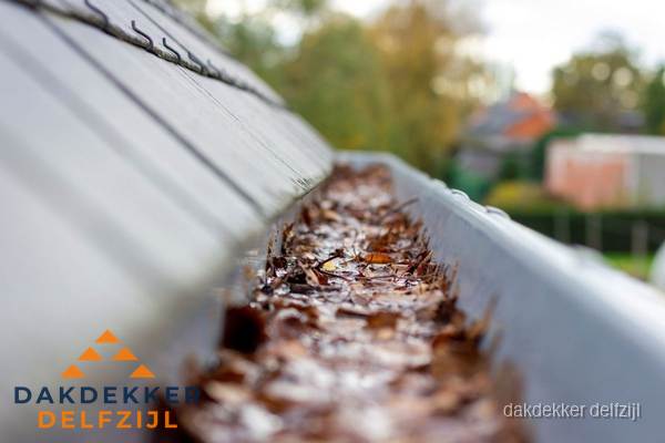 Verstopte dakgoot met bladeren schoonmaken in Delfzijl Verstopte dakgoot met bladeren schoonmaken in Delfzijl